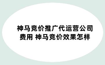 神马竞价推广代运营公司费用 神马竞价效果怎样